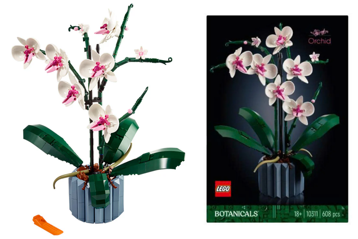 hoa-lan-lego-botanicals-ve-dep-nghe-thuat